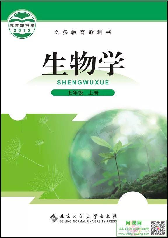 网站截图
