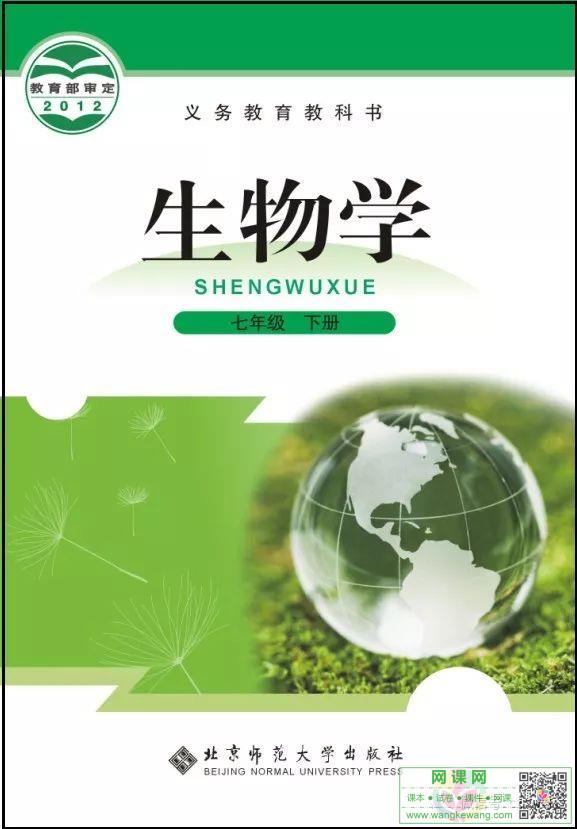 网站截图