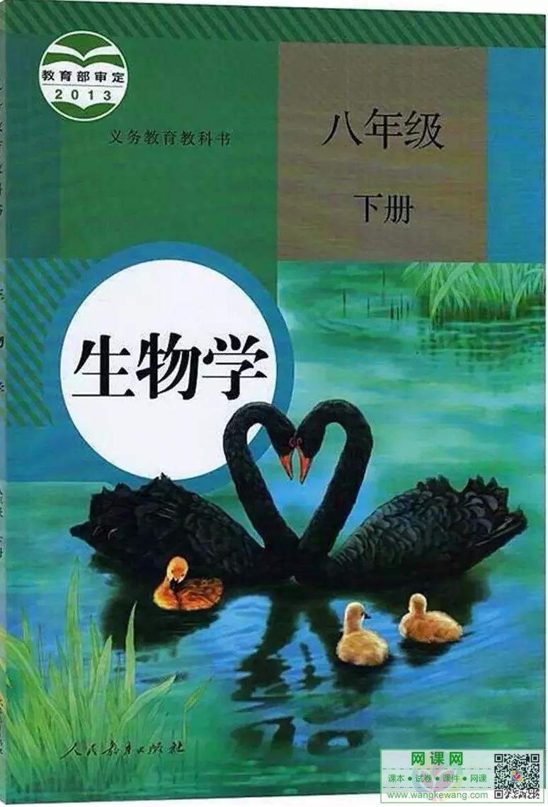 网站截图