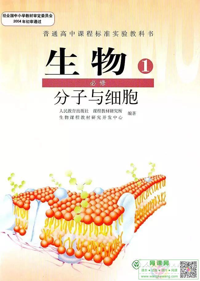 网站截图